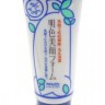 Пена для проблемной кожи лица с салициловой кислотой Meishoku Bigansui Acne Facial